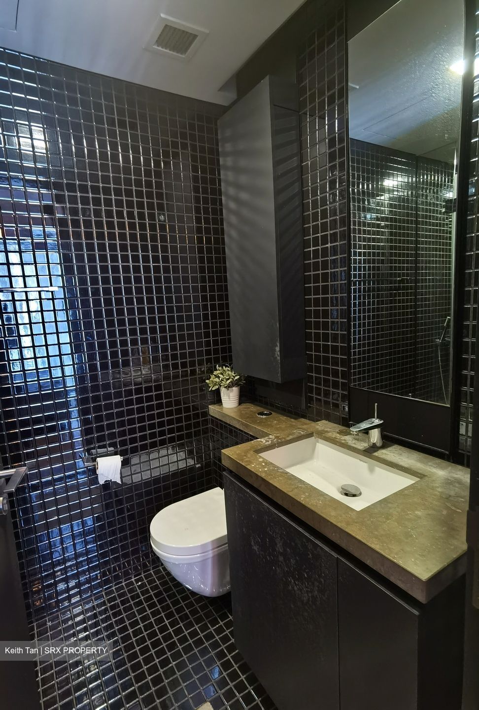 Skysuites@Anson (D2), Apartment #335805511